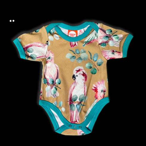 Body – Kakadu